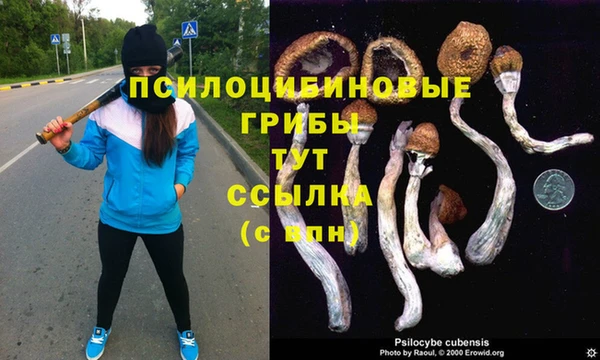 эйфоретик Богородицк