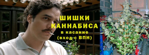 эйфоретик Богородицк