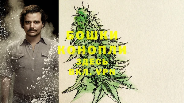 альфа пвп Бородино